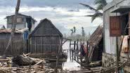 Foto: IFR Africa