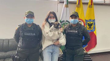 Divulgação/Gaula