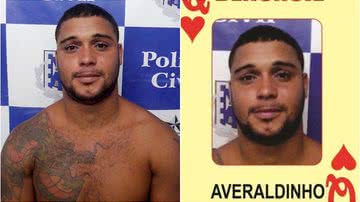 Divulgação