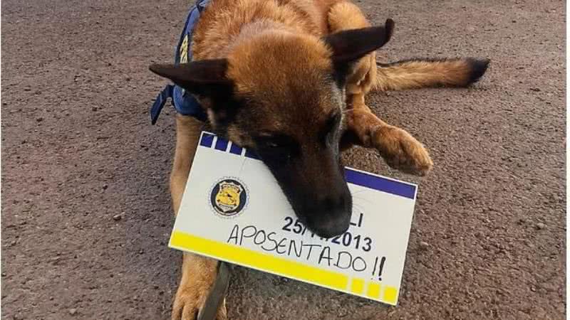 PRF/Divulgação