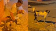 Reprodução/TikTok @antoniomouravimercati