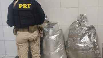 Divulgação/PRF-PE