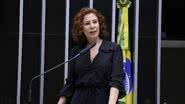 Reprodução/Câmara do Deputados