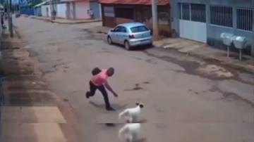 Reprodução / Vídeo