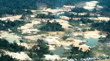 Funai/Via BBC