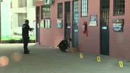 TV Clube/Reprodução