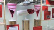 Imagem Museu da vagina é fechado e desaponta frequentadores