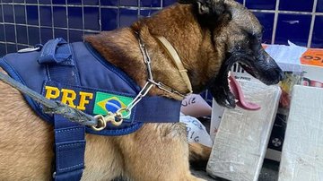 Divulgação / PRF