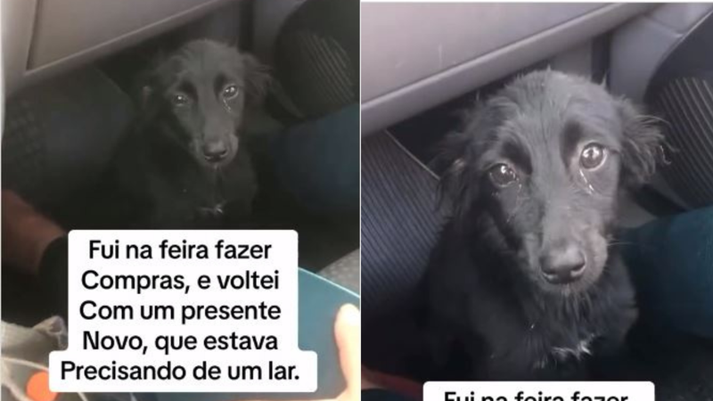 Reprodução/ Redes sociais