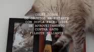 Reprodução// TikTok @cadallepiane