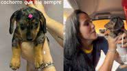 Reprodução// TikTok @v1tinho_s