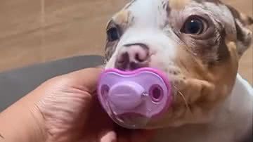 Reprodução / Redes sociais