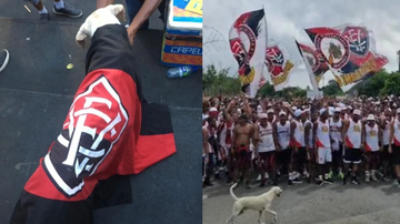 Reprodução/ @Cachorraodobarradao