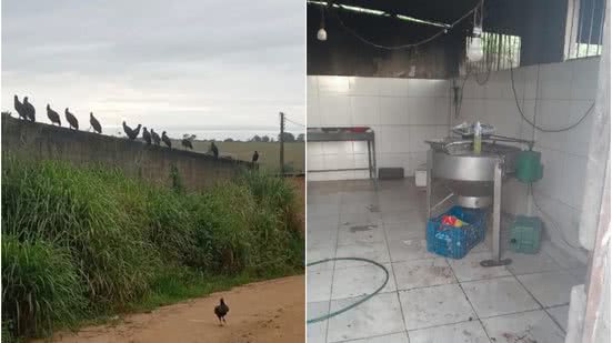 Divulgação/MP-BA