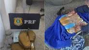 Divulgação/PRF
