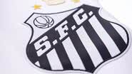 Raul Baretta/ Santos FC