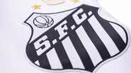 Raul Baretta/Santos FC