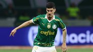 Divulgação/Palmeiras