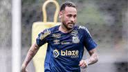 Raul Baretta/Santos FC