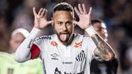 Raul Baretta/Santos FC
