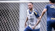 Divulgação/Santos