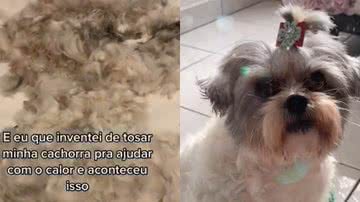 Reprodução/TikTok