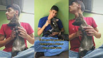 Reprodução/TikTok