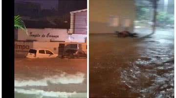 Reprodução/vídeo