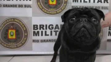 Divulgação / Brigada Militar