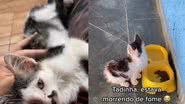 Reprodução/TikTok