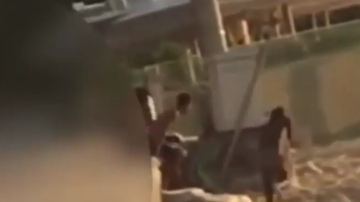 Reprodução Vídeo