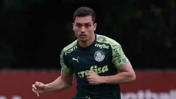 Cesar Greco/Ag. Palmeiras