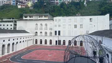 Divulgação