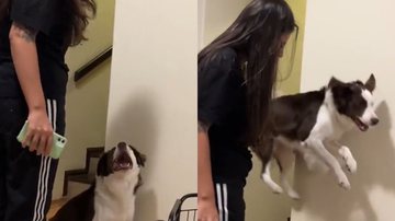 Reprodução/TikTok @mandath