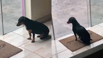 Reprodução/TikTok @vanessaatavaress