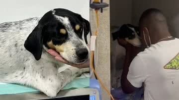 Arquivo Pessoal