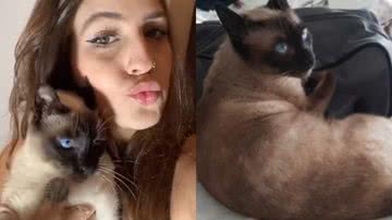 Reprodução/TikTok @lethiciagomes1910