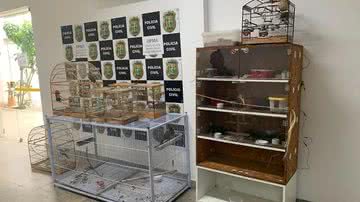 Polícia Civil/ Divulgação