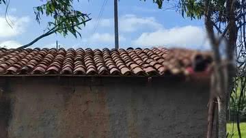 Divulgação/Redes Sociais