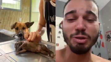 Reprodução/TikTok @lucasrealista