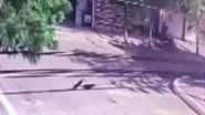 Reprodução/Vídeo
