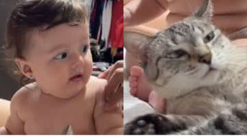 Reprodução//TikTok @maedaceci