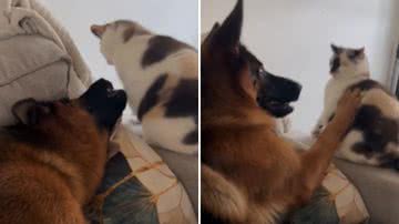 Reprodução / Redes Sociais