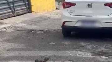 Reprodução/Vídeo