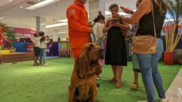 Divulgação CBPM