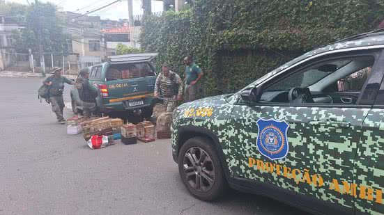 Divulgação GCM