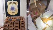Divulgação/Polícia Civil