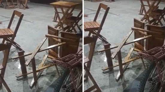 Reprodução