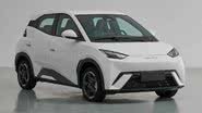 Divulgação/BYD
