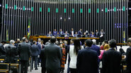 Elaine Menke/Câmara dos Deputados